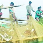 মনপুরায় ছোট মাছ শিকার রোধে অভিযান বিষয়ক সভা