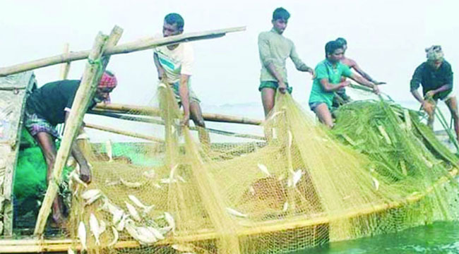 মনপুরায় ছোট মাছ শিকার রোধে অভিযান বিষয়ক সভা