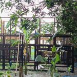 আগৈলঝাড়ায় সম্পত্তির দখল নিতে প্রভাবশালীদের বাধা, থানায় অভিযোগ