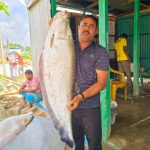 এক চিতল বিক্রি হলো ৪২ হাজার টাকায়