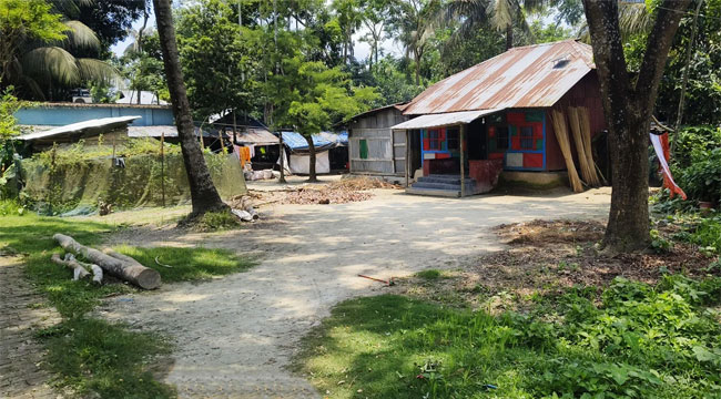 বাবুগঞ্জে ইউপি সদস্যের বিরুদ্ধে জমি দখলের অভিযোগ