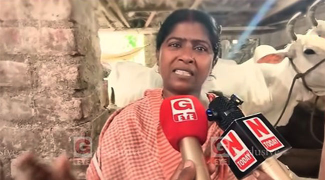 গরু বিক্রি নিয়ে পশ্চিমবঙ্গে হাহাকার