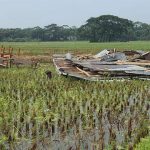 ভোলায় হঠাৎ ঝড়ে ঘরবাড়ি বিধ্বস্ত, বিদ্যুৎ বিচ্ছিন্ন