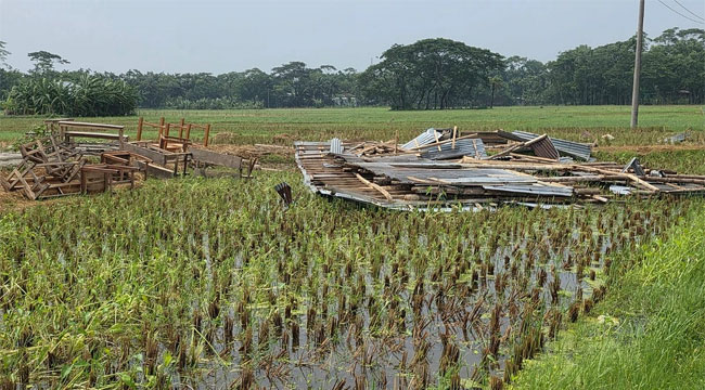 ভোলায় হঠাৎ ঝড়ে ঘরবাড়ি বিধ্বস্ত, বিদ্যুৎ বিচ্ছিন্ন