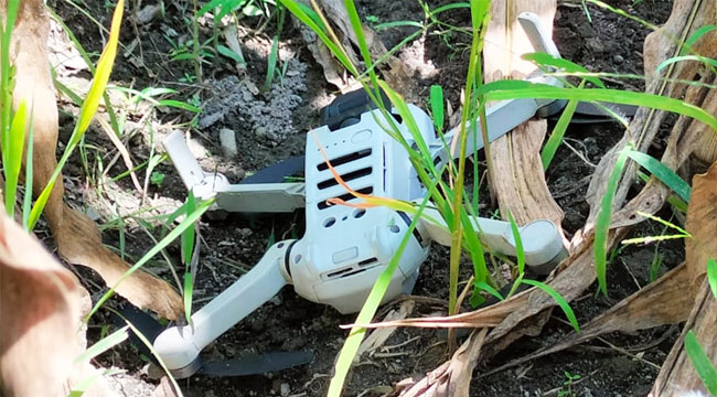 সীমান্ত পেরিয়ে বাংলাদেশে এসে পড়ল বিএসএফের ড্রোন