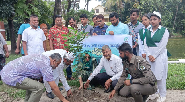 চরফ্যাশনে বৃক্ষরোপণ কর্মসূচী উদ্বোধন