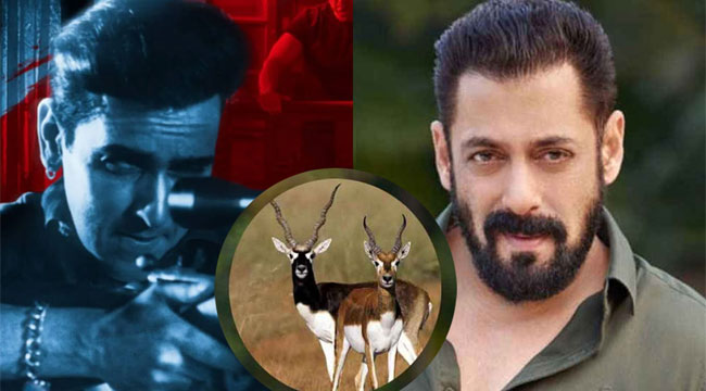 ‘কালা হিরণ’ নিয়ে ক্ষুব্ধ সালমান, পাঠালেন আইনি নোটিশ