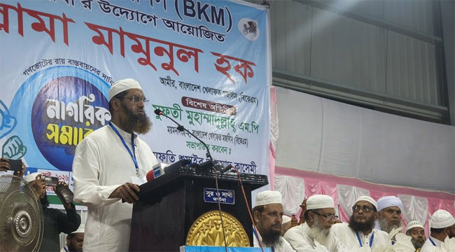 গণভোটের রায় বাস্তবায়ন ছাড়া সংসদ চলতে পারে না: মামুনুল হক