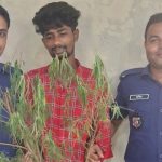 কাউখালীতে গাঁজা গাছসহ মাদক ব্যবসায়ী গ্রেফতার