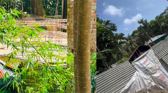 চরফ্যাশনে বেড়িবাঁধ কেটে বহুতল ভবন নির্মাণের চেষ্টা, সংবাদ প্রকাশের পর নড়েচড়ে বসলো পানি উন্নয়ন বোর্ড