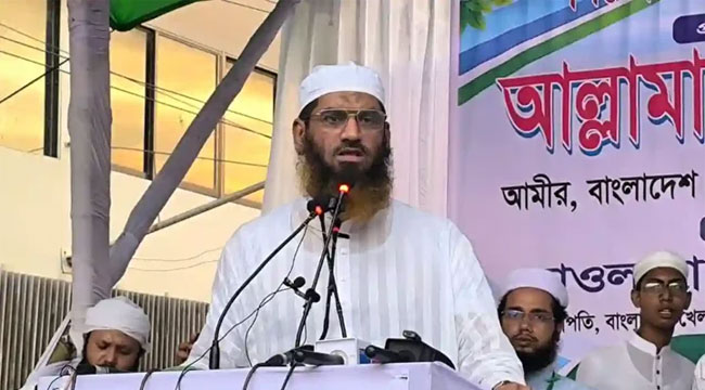 গণভোট অবৈধ হলে ধানের শীষের বিজয়ও অবৈধ: মামুনুল হক