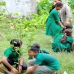 পিরোজপুরে প্রধানমন্ত্রীর বৃক্ষরোপণ কর্মসূচীতে গাছের চারার বদলে ডাল রোপন; প্রধান শিক্ষক বরখাস্ত