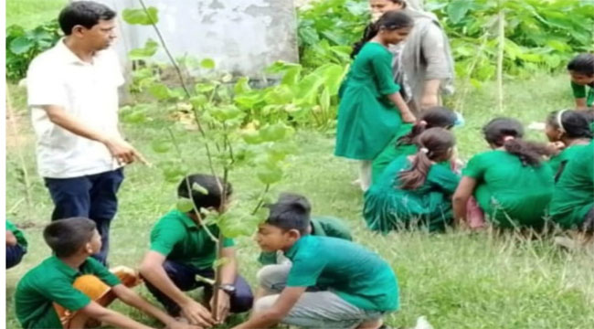 পিরোজপুরে প্রধানমন্ত্রীর বৃক্ষরোপণ কর্মসূচীতে গাছের চারার বদলে ডাল রোপন; প্রধান শিক্ষক বরখাস্ত