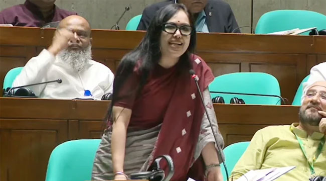 বিএনপি ক্ষমতায় আসবে আর দুর্নীতিতে চ্যাম্পিয়ন হবে না, সেটা হতে পারে না: রুমিন ফারহানা